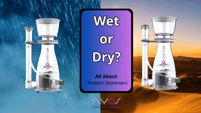 Wet vs Dry Skimming: What Does That Mean and Which Is Better?