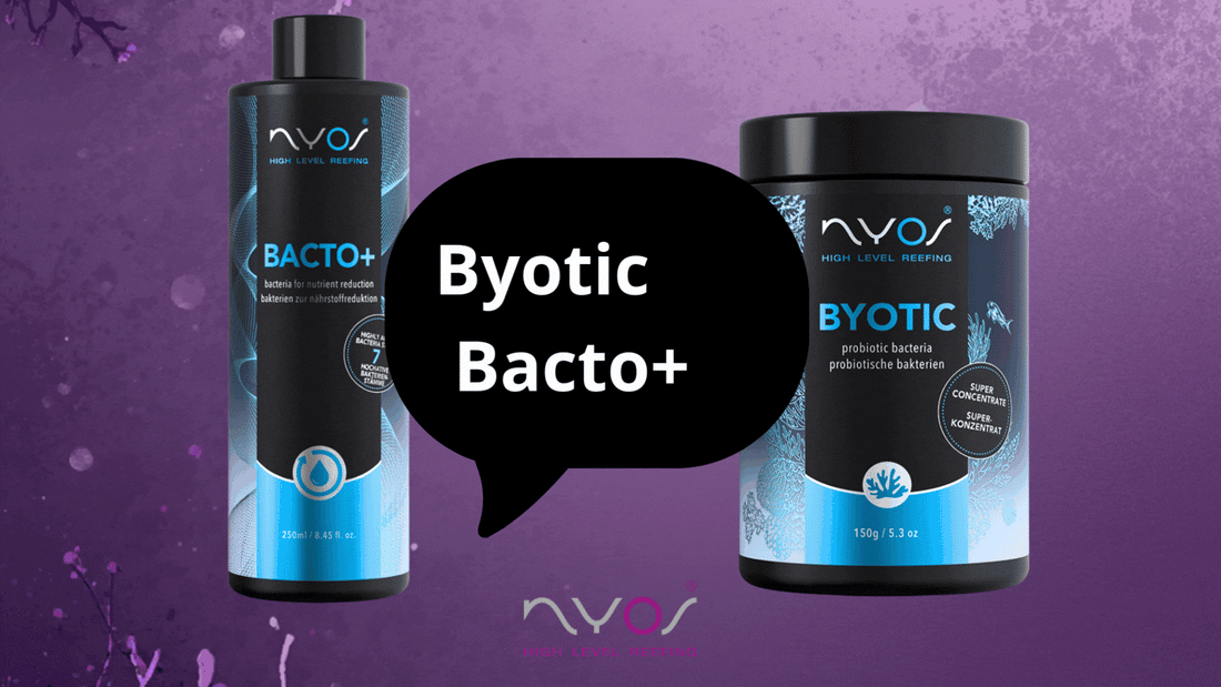 Nyos Bacto+ or Byotic? What's The Difference?