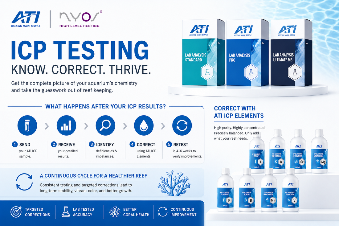 Your ICP Test Results Are Only the Beginning: Turning Your Data Into a Healthier Reef