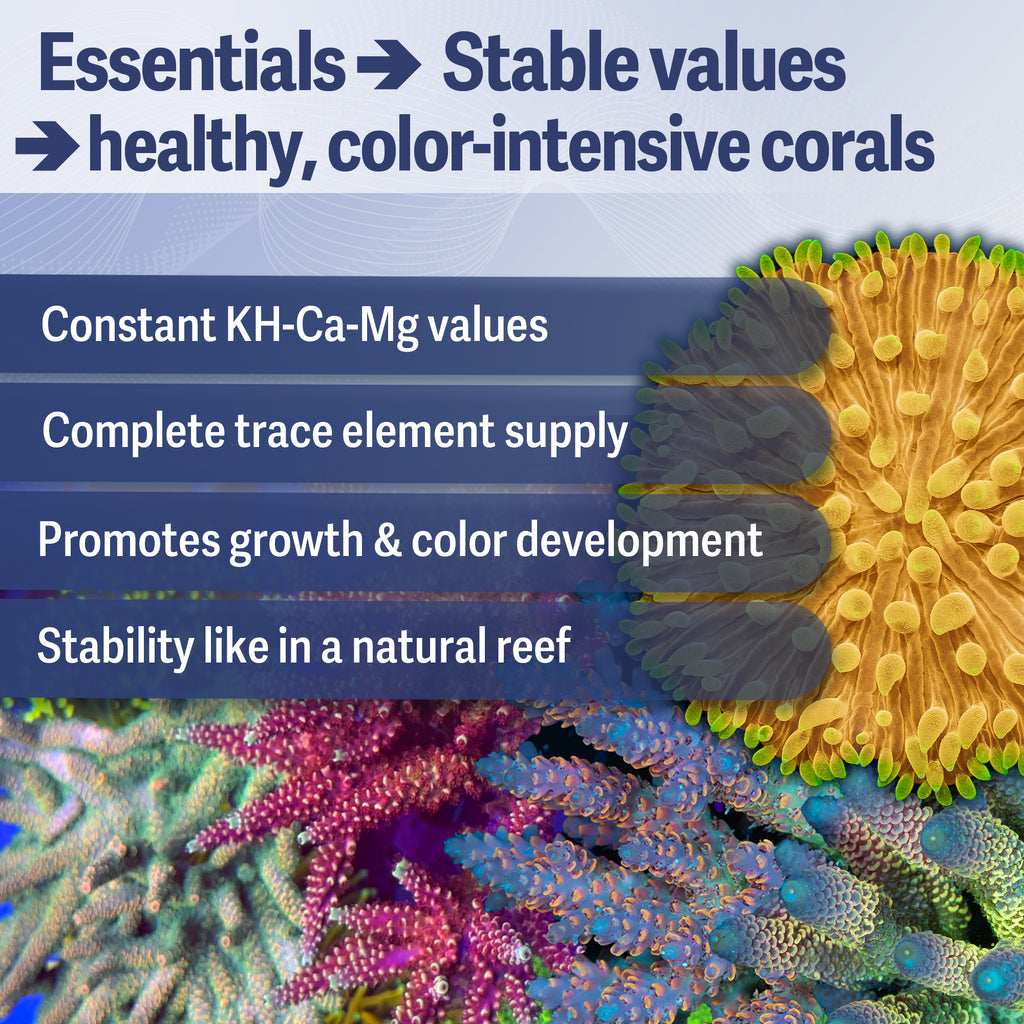ATI® Essentials Mixed Reef | Two-Part System