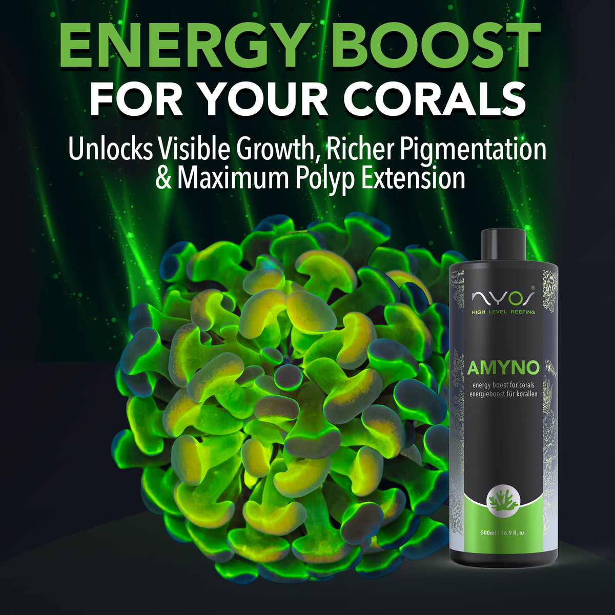 AMYNO 100ml (3.38 floz) 250ml (8.45 floz) 500ml (16.9floz)