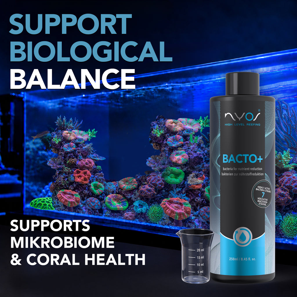 Bacto Plus 100ml (3.38 floz) 250ml (8.45 floz )