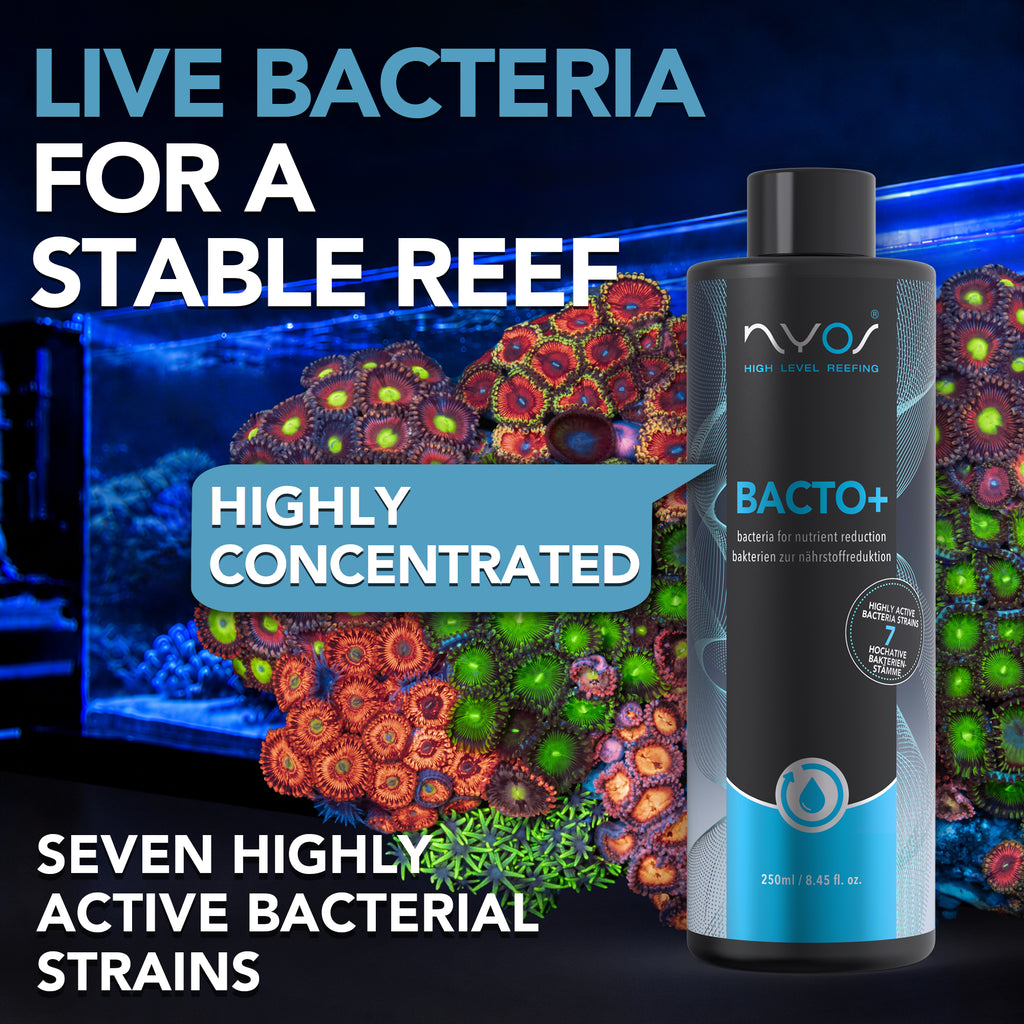 Bacto Plus 100ml (3.38 floz) 250ml (8.45 floz )