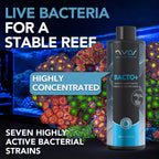 Bacto Plus 100ml (3.38 floz) 250ml (8.45 floz )