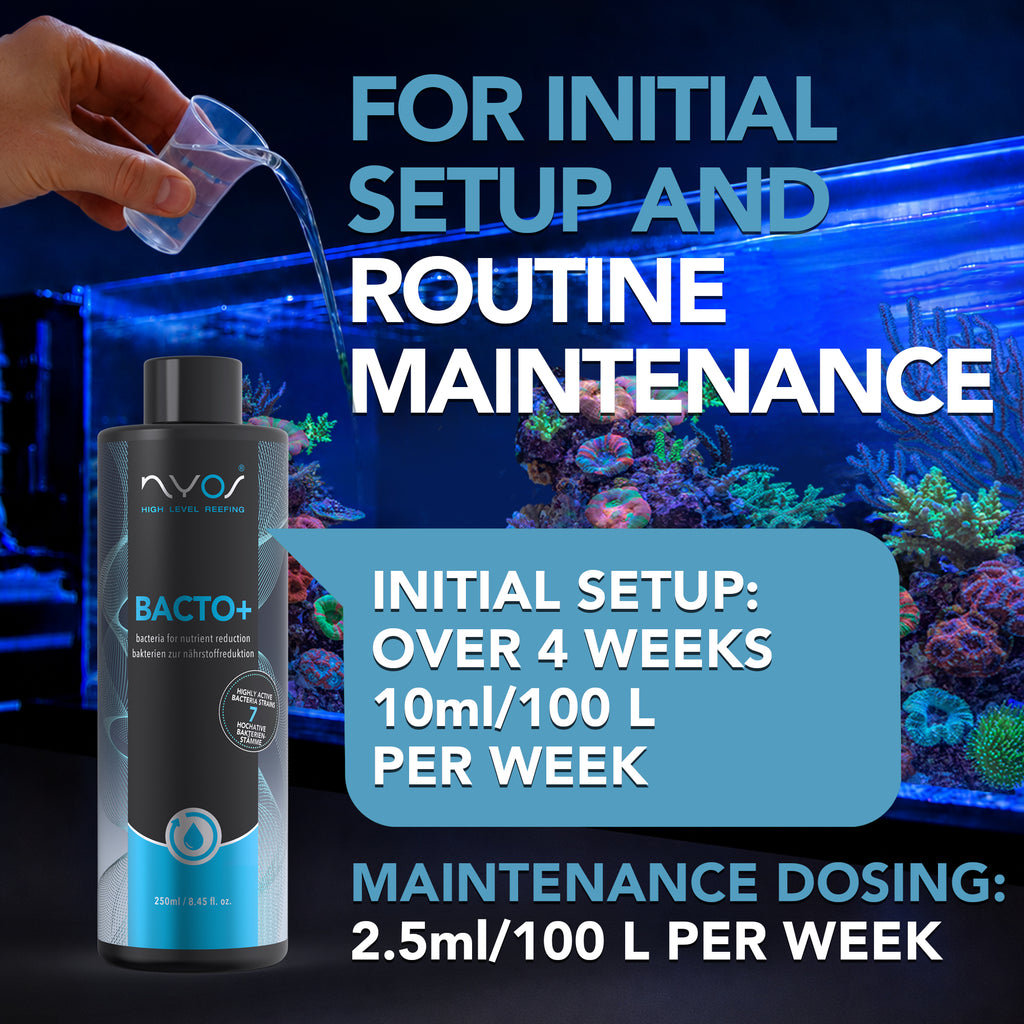 Bacto Plus 100ml (3.38 floz) 250ml (8.45 floz )
