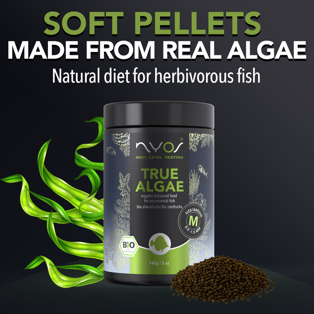 True Algae Fish Food (70g & 140g)