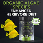True Algae Fish Food (70g & 140g)