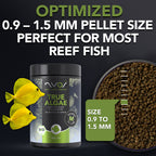 True Algae Fish Food (70g & 140g)