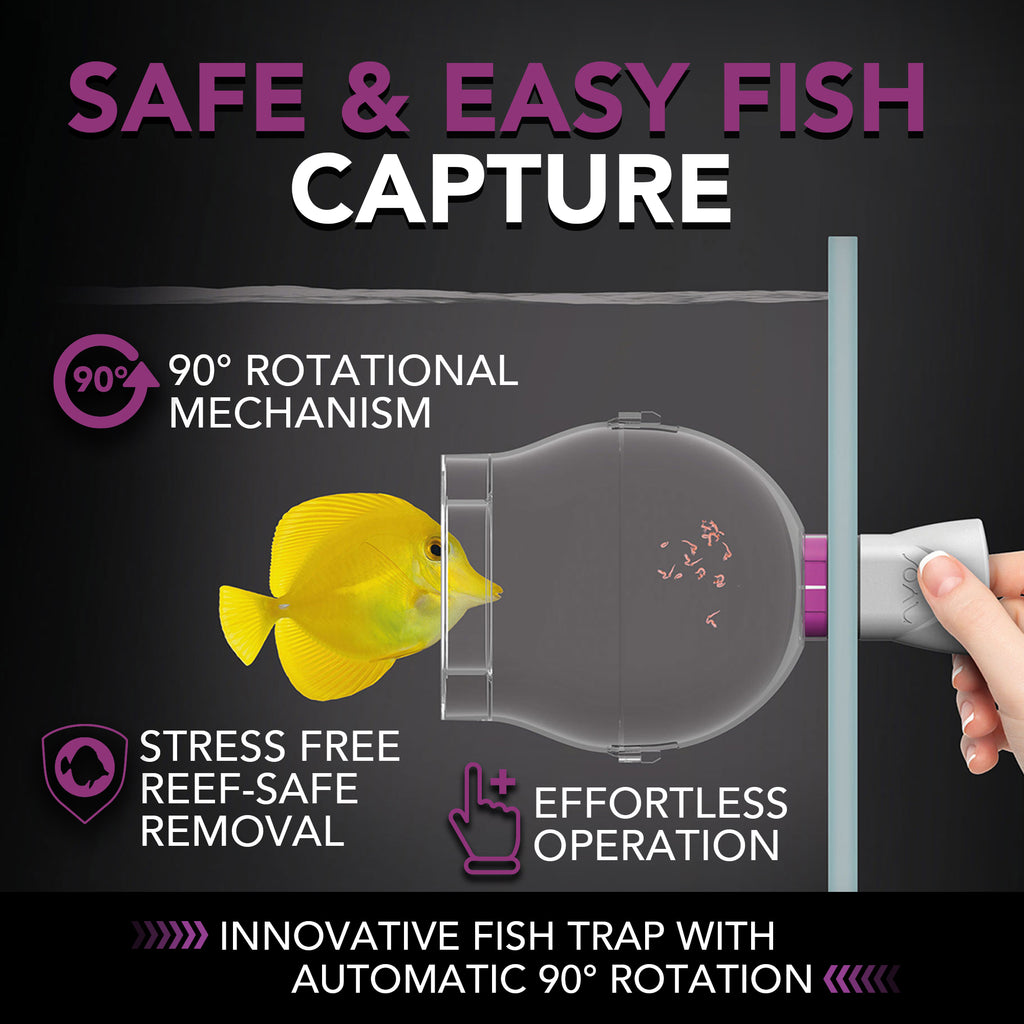 Floating Fish Trap