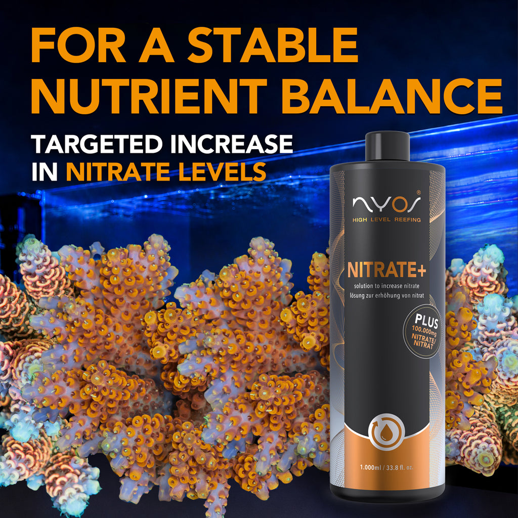 Nitrate+ 1000ml (33.8 floz) (Nutrient Control)