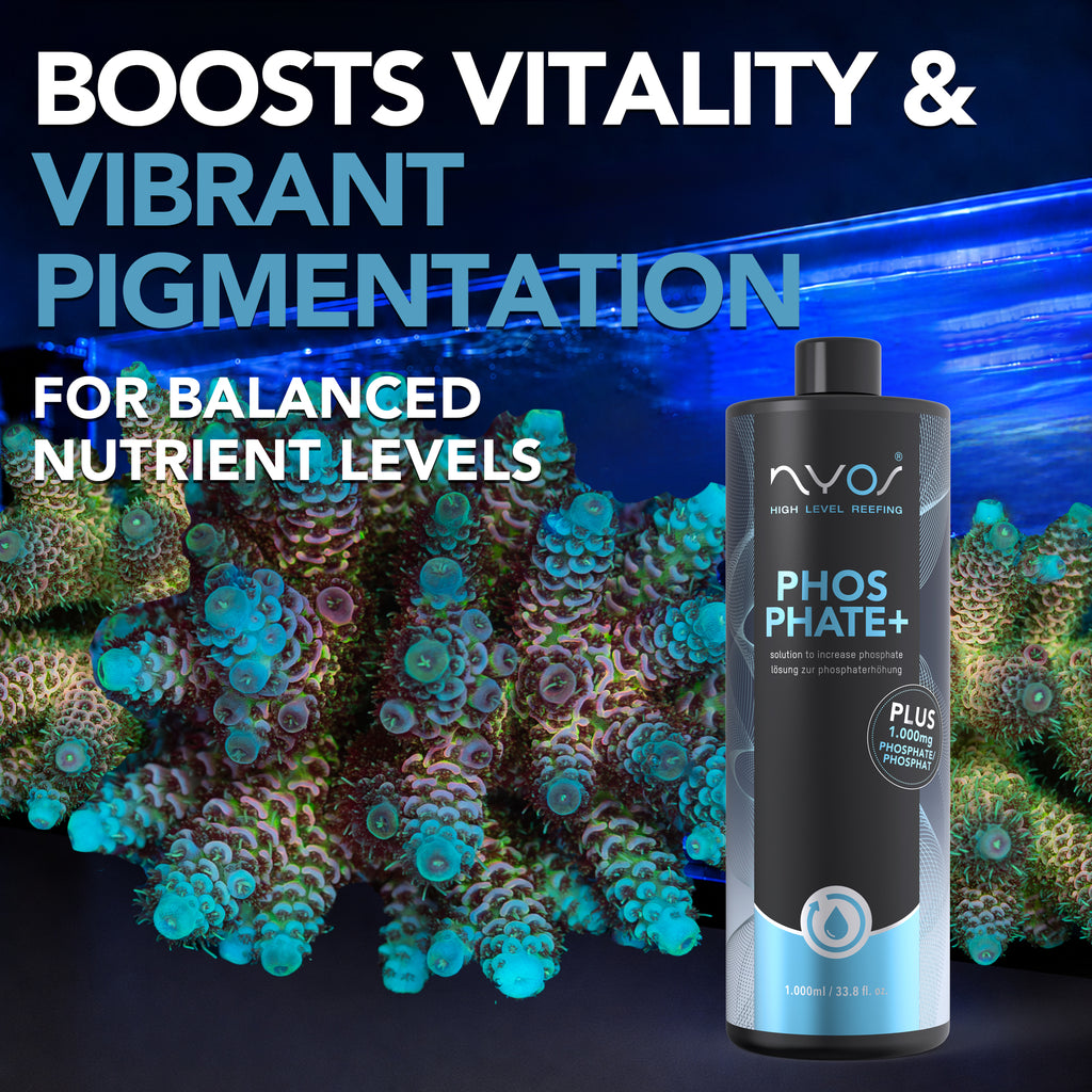 Phosphate+ 1000ml (33.8 floz) (Use With Nitrate+ 1L) Nutrient Control