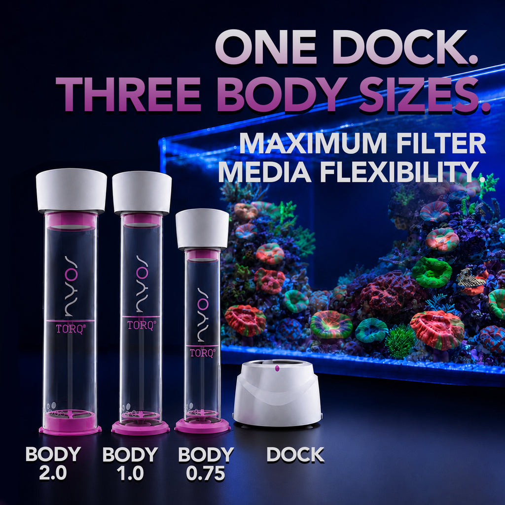 TORQ G2 Body 2.0 (2Liter) (Requires TORQ Dock)
