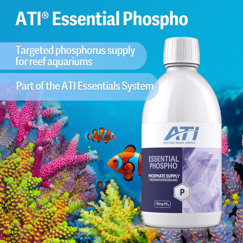 ATI® Essential Phospho