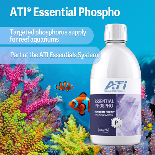 ATI® Essential Phospho