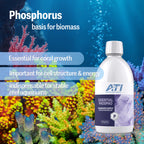 ATI® Essential Phospho