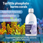 ATI® Essential Phospho