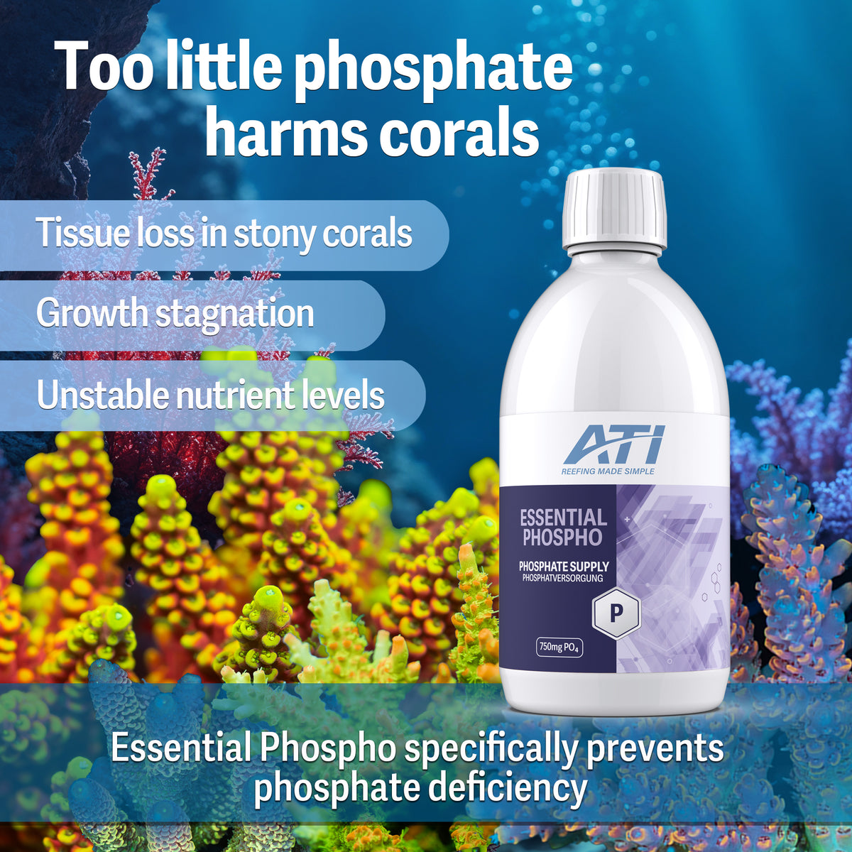 ATI® Essential Phospho