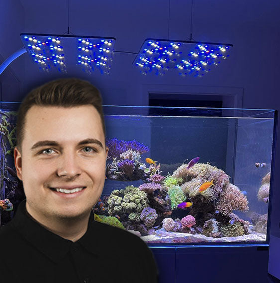 Florian Bauer - Coast Corals