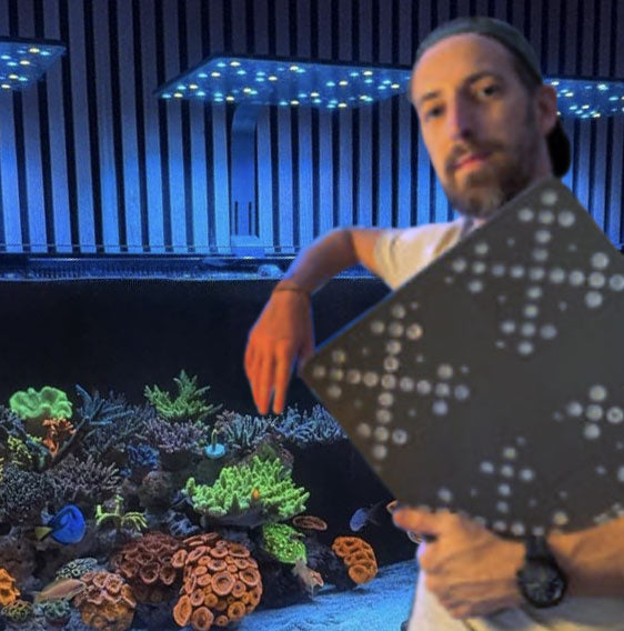 Rainer Schüür - the_reef_2.0