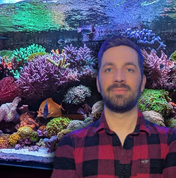 Christian Mroczek - marine aquarist
